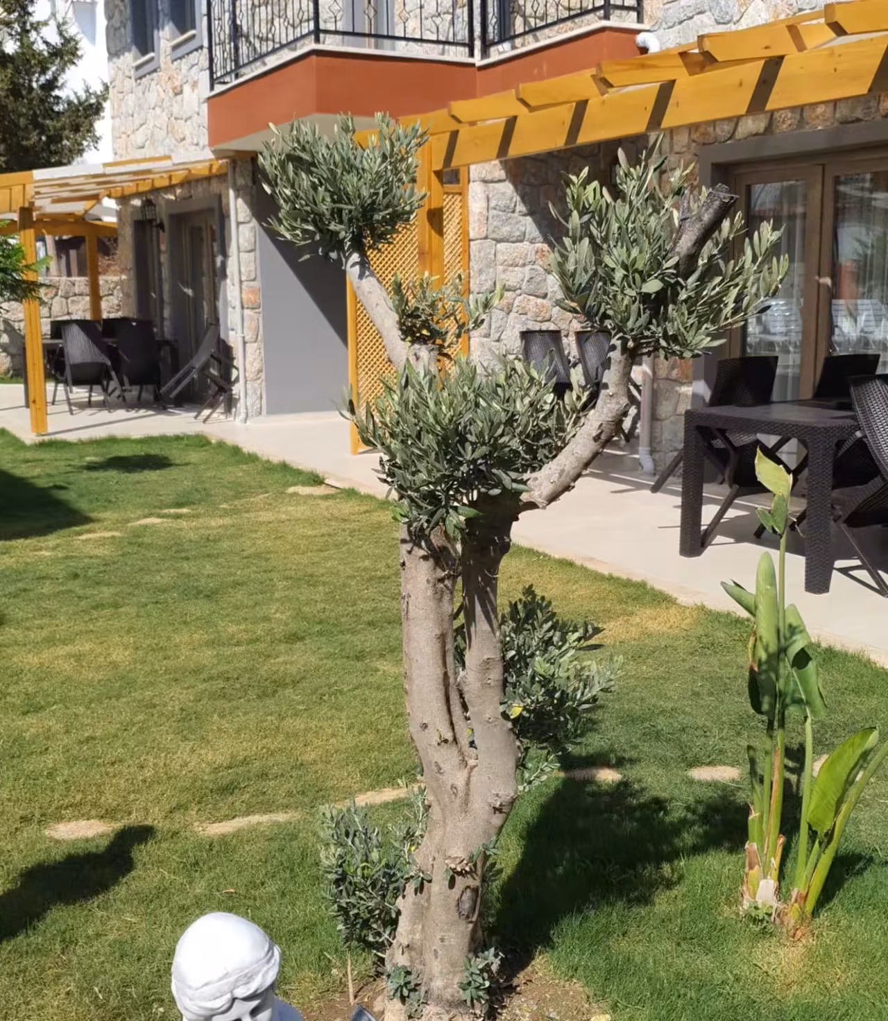 Villa Nora bahçesindeki taş yürüyüş yolu